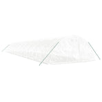 Greenhouse with Steel Frame White 110 m? 22x5x2.3 m