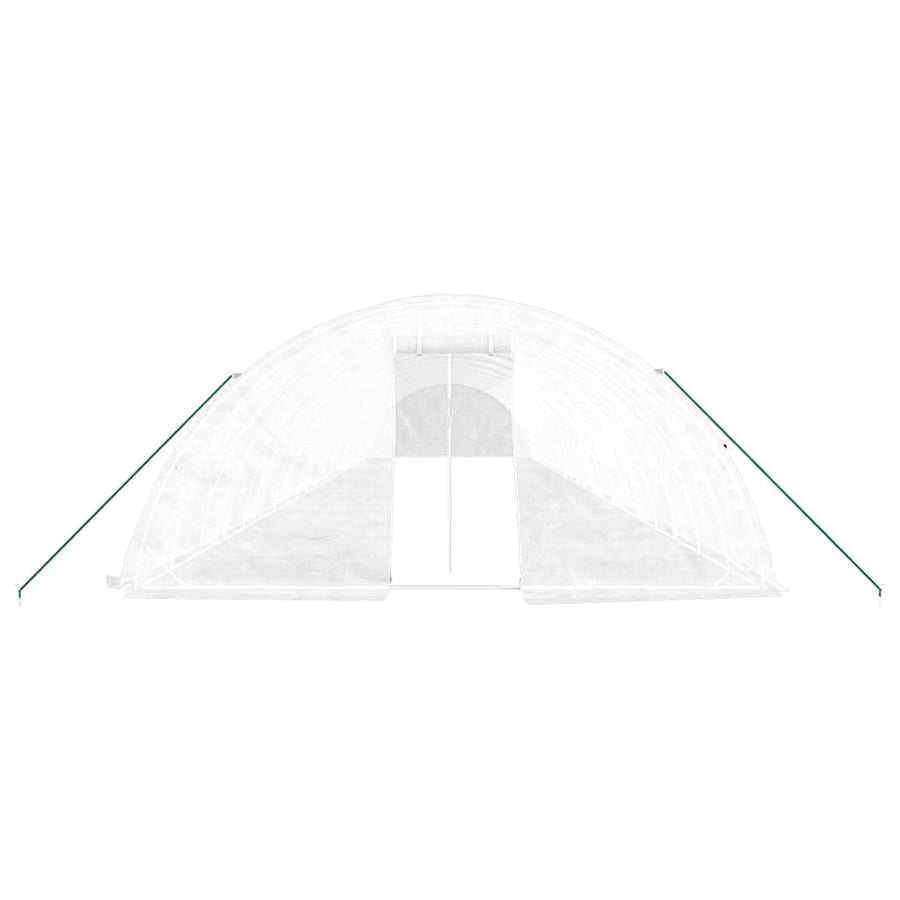 Greenhouse with Steel Frame White 110 m? 22x5x2.3 m