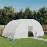 Greenhouse with Steel Frame White 24 m? 6x4x2.85 m