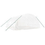 Greenhouse with Steel Frame White 36 m² 6x6x2.85 m - Rear View