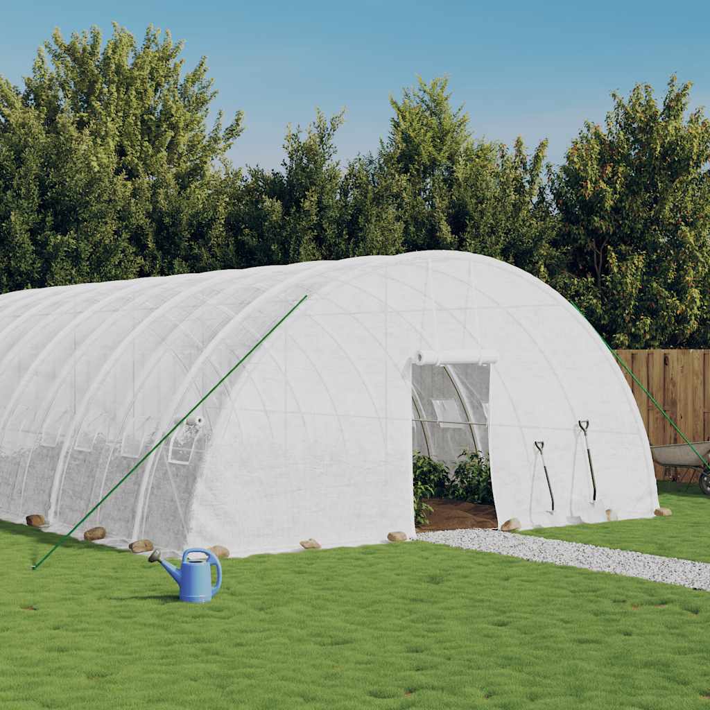 Greenhouse with Steel Frame White 36 m? 6x6x2.85 m