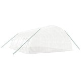 Greenhouse with Steel Frame White 48 m? 8x6x2.85 m