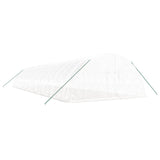 Greenhouse with Steel Frame White 108 m² 18x6x2.85 m - Side View