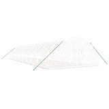 Greenhouse with Steel Frame White 120 m² 20x6x2.85 m - Side View