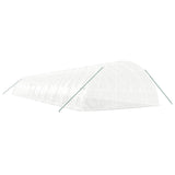 Greenhouse with Steel Frame White 132 m² 22x6x2.85 m - Rear View