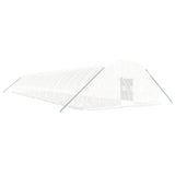 Greenhouse with Steel Frame White 144 m? 24x6x2.85 m
