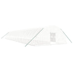 Greenhouse with Steel Frame White 144 m? 24x6x2.85 m