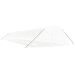 Greenhouse with Steel Frame White 144 m? 24x6x2.85 m