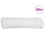 Folding Anchor with Rope Silver 2.5 kg Malleable Iron