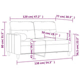 2-Seater Sofa with Throw Pillows Light Grey 120 cm Fabric - Low Angle