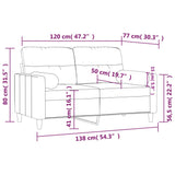 2-Seater Sofa with Throw Pillows Dark Grey 120 cm Fabric - Low Angle