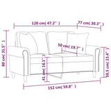 2-Seater Sofa with Throw Pillows Black 120 cm Faux Leather