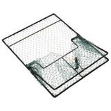 Bird Trap Green 50x40 cm Steel - 45-Degree Angle
