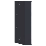 Corner Bathroom Mirror Cabinet Grey 30x24x60 cm - 45-Degree Angle