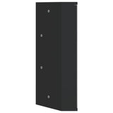 Corner Bathroom Mirror Cabinet Black 30x24x60 cm - 45-Degree Angle