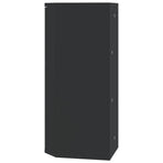 Corner Bathroom Mirror Cabinet Black 30x24x60 cm