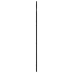 Wall Mirror Black 60x110 cm Arch Iron