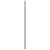 Wall Mirror Black 60x130 cm Arch Iron