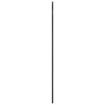 Wall Mirror Black 60x130 cm Arch Iron