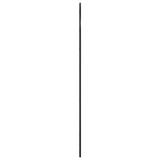 Wall Mirror Black 80x140 cm Arch Iron