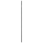 Wall Mirror Black 80x140 cm Arch Iron