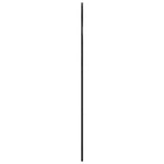 Wall Mirror Black 100x130 cm Arch Iron