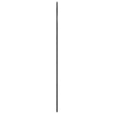 Wall Mirror Black 100x150 cm Arch Iron