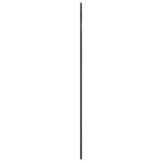 Wall Mirror Black 100x150 cm Arch Iron