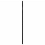 Wall Mirror Black 80x100 cm Arch Iron