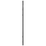 Wall Mirror Black 30x60 cm Arch Iron
