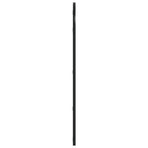 Wall Mirror Black 40x80 cm Arch Iron