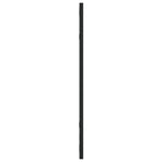 Wall Mirror Black 30x60 cm Rectangle Iron