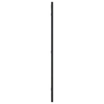 Wall Mirror Black 40x80 cm Rectangle Iron