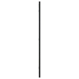 Wall Mirror Black 40x80 cm Rectangle Iron - Top-Down View