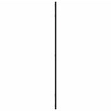Wall Mirror Black 50x100 cm Rectangle Iron