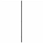 Wall Mirror Black 50x100 cm Rectangle Iron