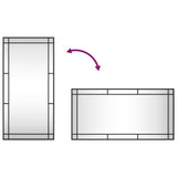 Wall Mirror Black 50x100 cm Rectangle Iron