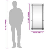 Wall Mirror Black 50x100 cm Rectangle Iron