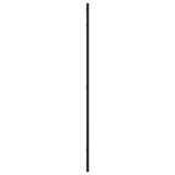 Wall Mirror Black 60x100 cm Rectangle Iron