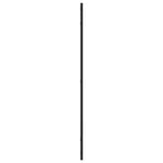 Wall Mirror Black 60x100 cm Rectangle Iron