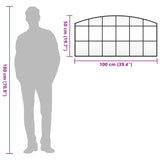 Wall Mirror Black 100x50 cm Arch Iron - Low Angle