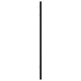Wall Mirror Black 30x60 cm Rectangle Iron