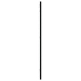 Wall Mirror Black 30x80 cm Rectangle Iron