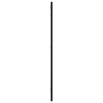 Wall Mirror Black 30x80 cm Rectangle Iron