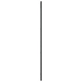 Wall Mirror Black 30x100 cm Rectangle Iron