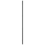 Wall Mirror Black 30x100 cm Rectangle Iron