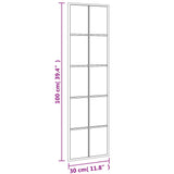 Wall Mirror Black 30x100 cm Rectangle Iron - Low Angle