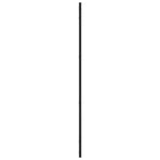 Wall Mirror Black 50x100 cm Rectangle Iron