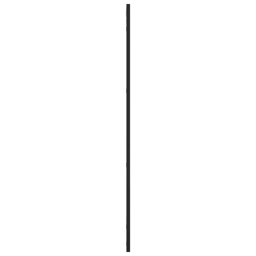 Wall Mirror Black 50x100 cm Rectangle Iron