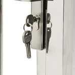 Garden Gate 85x175 cm Stainless Steel
